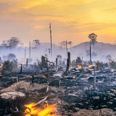 Cortina de fumaça sobre a impunidade